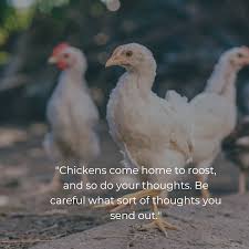 Chickens Come Home To Roost And So Do Your Thoughts Be Careful What Sort Of Thoughts You Send Out Home To Roost Stuff To Do Quote Of The Day