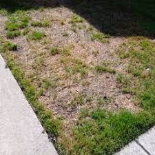 In some cases, you may be able to remedy the problem with simple mowing and raking. 3 Ways To Treat Lawn Fungus Wikihow
