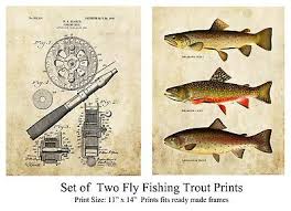 Sport Fly Fishing Salmon And Trout 17 Species Wall Chart