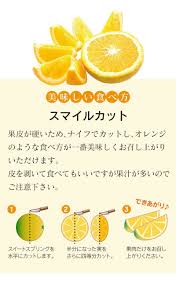 スイート スプリング 値段