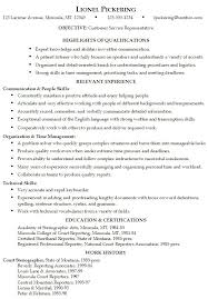 best buy customer service resume