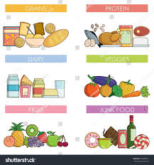 Food Drink Nutrition Groups Protein Grains Stock Vector