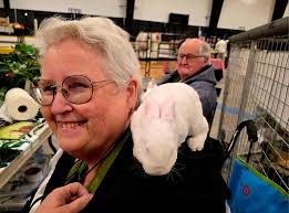 Come check out our display at the Cloverdale Rodeo all weekend! we have  some pretty amazing animals here for everyone to meet while taking a break  from enjoying the fair or getting