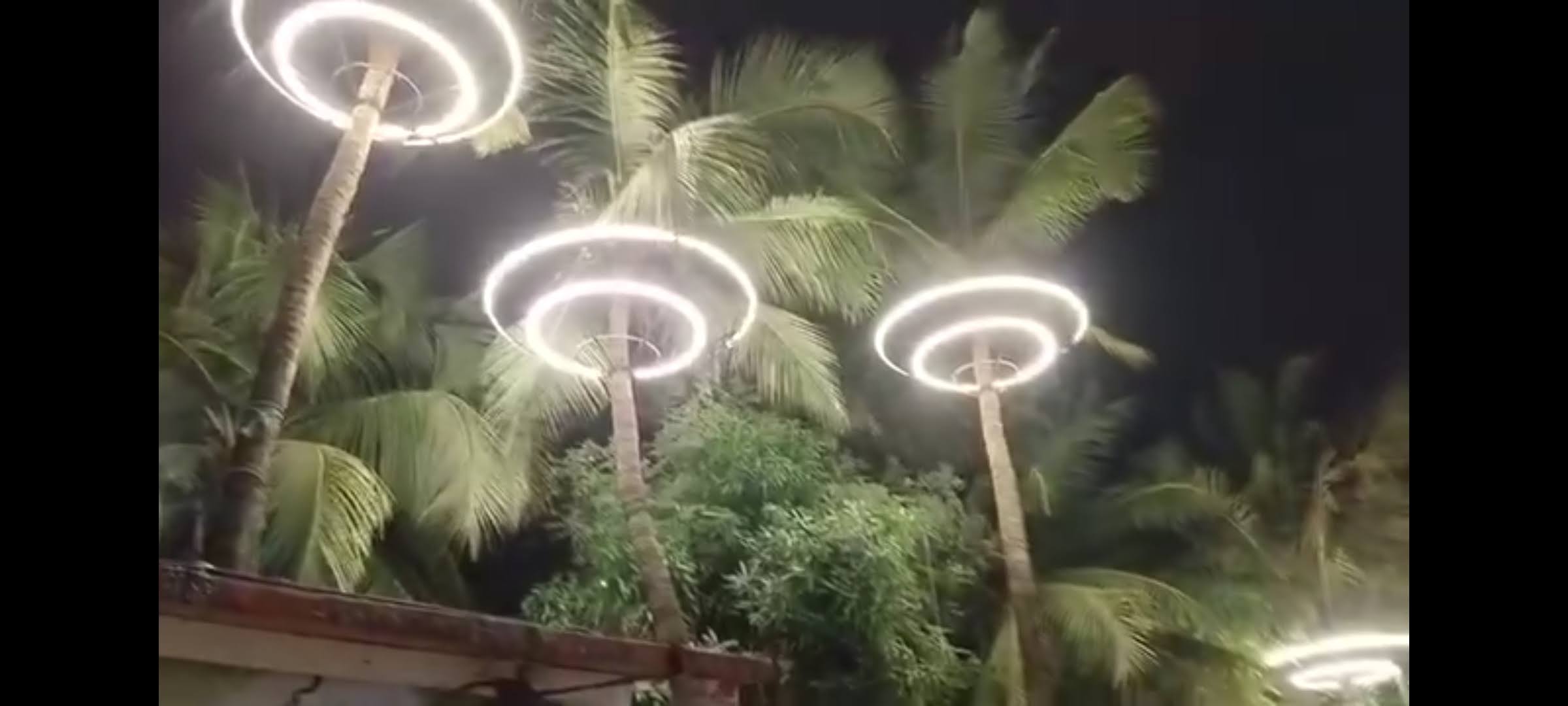 Coconut tree safety net product image
