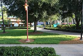 Acx audiobook publishing made easy: Disney S All Star Music Resort