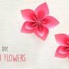 Wholesale flowers, plants and decorative articles. 1