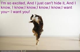 I M So Excited And I Just Cant Hide It Meme