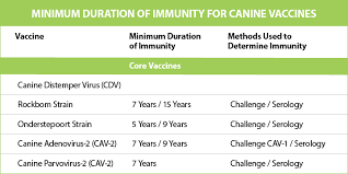 What Every Vet And Dog Owner Should Know About Vaccines