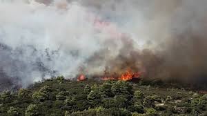 Στο σημείο βρέθηκαν για να σβήσουν τη φωτιά, δέκα οχήματα της πυροσβεστικής με 30 πυροσβέστες και δυο αεροσκάφη. Ypo Elegxo H Fwtia Ston Agio Dhmhtrio Salaminas