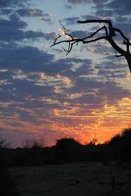 Sunrise Botswana South Africa Victoria Falls African Travel Best Sunset