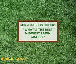 To maintain a healthy lawn, make sure your grass gets at least an inch of water every 3 days, mow it once a week, and fertilize it. Black Gold What S The Best Midwest Lawn Grass Black Gold