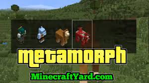 We did not find results for: Metamorph Mod 1 17 1 1 16 5 1 15 2 1 14 4 For Minecraft