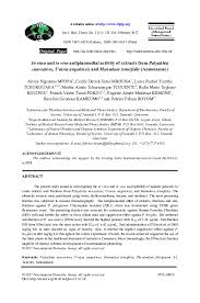 Image result for Uvaria angolensis