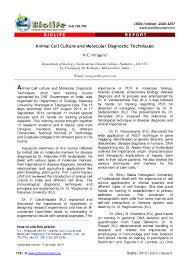 Maybe you would like to learn more about one of these? Pdf Animal Cell Culture And Molecular Diagnostic Techniques Animal Cell Culture And Molecular Diagnostic Editor Biolife Journal Academia Edu