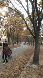 Shanghai october weather data graphs. Fall Autumn In Korea Studyinkorea