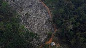 How is deforestation affecting the amazon rain forest? Brazil S Amazon Deforestation Surges To 12 Year High Bbc News