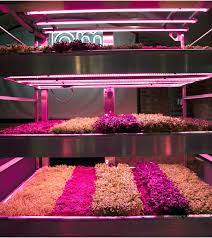 In a new collaboration together with uk based industrial designer tom dixon, ikea will explore urban farming, making homes the new farmland. Ikea S Experimental Garden For Urban Farming Agritecture