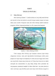 We did not find results for: Soal Pts Ii Tema Elas 5 Sd