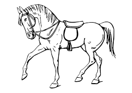 Imagen Caballos Para Dibujar Dibujo De Un Caballo Caballo Para Az Dibujos Para Colorear Malvorlagen Pferde Malvorlagen Tiere Ausmalbilder Pferde