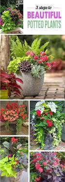 The Secret To Gorgeous Plant Pots The Forever Home Project Modern Parents Messy Kids Plants Container Gardening Flower Pots