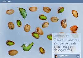 Gare Aux Insectes Et Aux Megots De Cigarettes La Presse