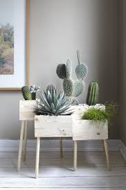 This is why have a cactus inside our house, it may create big problems with money. The Unluckiest Things You Probably Have In Your Home Right Now Wooden Flower Boxes Decor Plant Decor