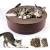 Cat Nail Caps
