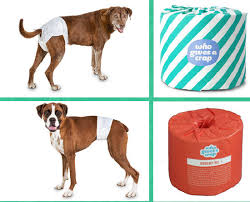China Disposable Baby Adult Male Dog Wrap Diaper Nappies For Pet Dogs China Wrap Diaper And Pets Diaper Price