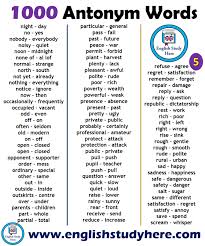 Pin On Antonyms