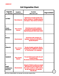 cell organelle chart answer key bedowntowndaytona com