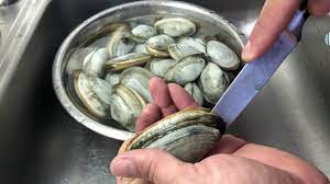 Check spelling or type a new query. Shucking And Cleaning The Sand Out Of Fresh Long Island Steamer Soft Shell Clams Youtube