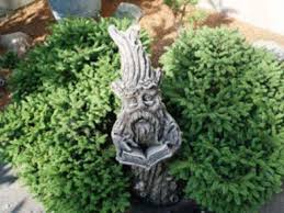 We did not find results for: Conifers And Companion Planting American Conifer Society
