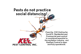 Pest control in central illinois. Kee Pest Control
