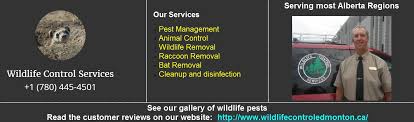 When it comes to bed bugs, you of course want to get rid of them as fast as possible and don't want to see these invaders ever again. Calgary Pest Control Canada
