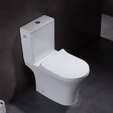 The stain is caused by iron in the water that attaches to your toilet bowl surface over time. China White Color Porcelain Toilet Bowl Bathroom Ceramic Two Piece Toilet Bowl China Two Piece Toilet Wc