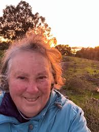 San Pablo Bay Trail Evening Experience