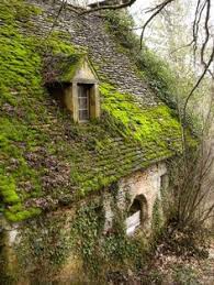 This kills the moss but destroys your roof. Remove Prevent Moss Growth On Your Roof Leak Seal Roofing Inc