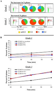 A Cell Cycle Analysis Of Primary Breast Tumor Cell Lines In