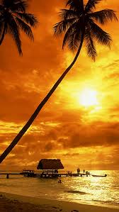 Free for commercial use no attribution required high quality images. Beach Sunset Background Portrait 640x1136 Download Hd Wallpaper Wallpapertip