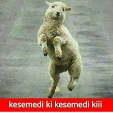 Komik Resimler Komik Komik Seyler