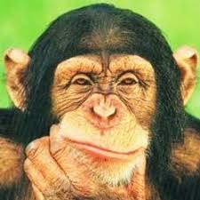 John Zara (@john_zara)