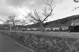 実レポ！京都女装スポット13選｜千本日活・サンライズ・横大路総合運動公園など - mevy