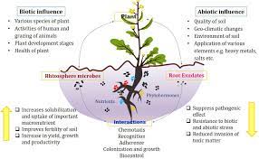 Solution for changing bad habits, ending unhealthy thinking, and taking control of your life. Frontiers Revisiting Plant Microbe Interactions And Microbial Consortia Application For Enhancing Sustainable Agriculture A Review Microbiology