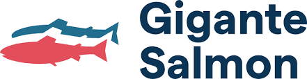 Gigante Salmon