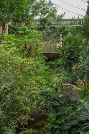 Great Zoo Exhibit The Tropics Zoo Architecture Playgrounds Architecture Zoo