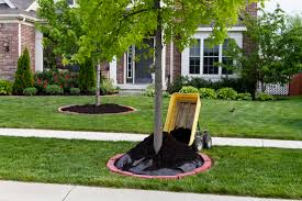 Our lawn care package includes: High Quality Nashville Lawn Care Services