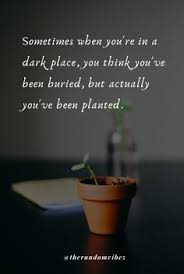 Check spelling or type a new query. 44 Quotes About Change Ideas In 2021 Inspirational Quotes Inspirational Quotes About Change Quotes