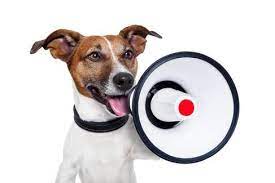 Check spelling or type a new query. Vet To Pet Windhoek Home Facebook