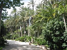 33.051 comentarios sobre información turismo, dónde comer y alojarse por viajeros que han estado allí. Palmeral Of Elche Wikipedia