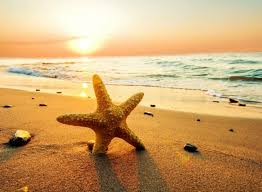 We offer an extraordinary number of hd images that will instantly freshen up your smartphone or computer. Hd Beach Sunset Iphone Wallpapers Hd Wallpaper Wallpapes High Resolution 4k Wallpaper